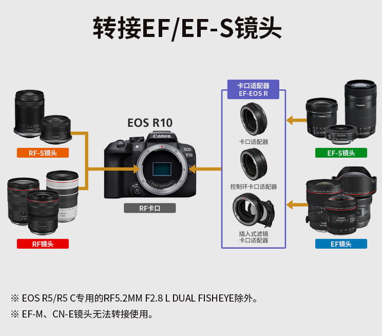 5399元 佳能EOS R系列史上最小最轻相机 仅429克